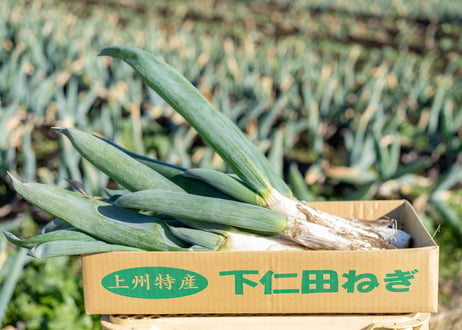 【お歳暮】有機下仁田ねぎ