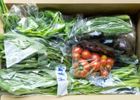 旬の有機野菜詰め合わせ