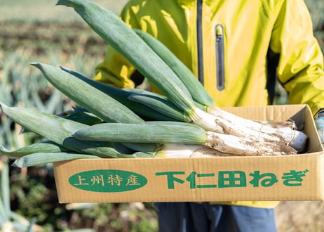 【お歳暮】有機下仁田ねぎ