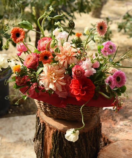 【ご来店専用】Mother'sDayGift C