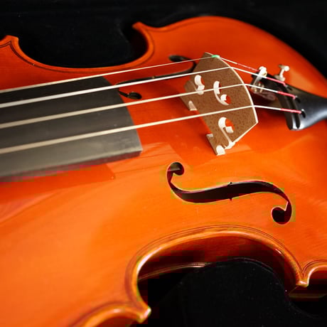 SUZUKI スズキ バイオリン 4/4 No.16 KUN 肩当て付き OYAMA violin