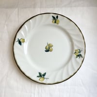 Dian Lemon／ケーキ皿／１９.５cm／美濃焼