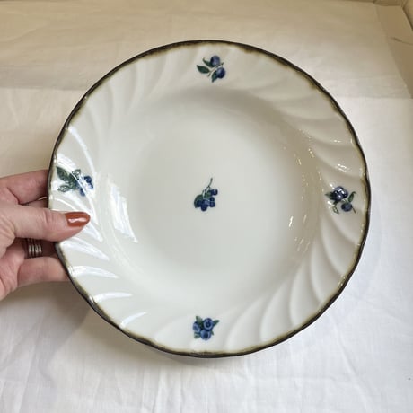Dian Bueberry／パスタ皿／スープ皿／２０.９cm／美濃焼