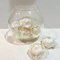 ソラフラワー／ピオニー１２個入り
