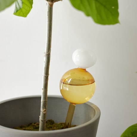 水のやり忘れを防いでくれるガラスのディスペンサー／Ｌ／イエロー