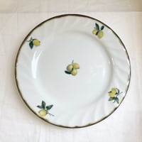 Dian Lemon／ワンプレート皿／２３.４cm／美濃焼
