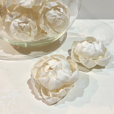 ソラフラワー／ピオニー１２個入り