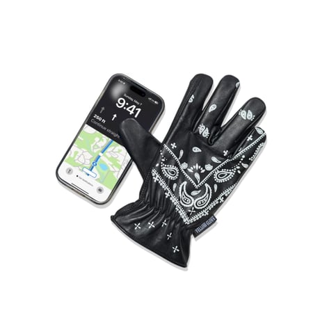 STANDARD GLOVE / BLACK PAISLEY