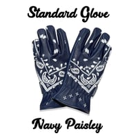 STANDARD GLOVE / NAVY PAISLEY