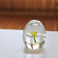 ペーパーウェイト
