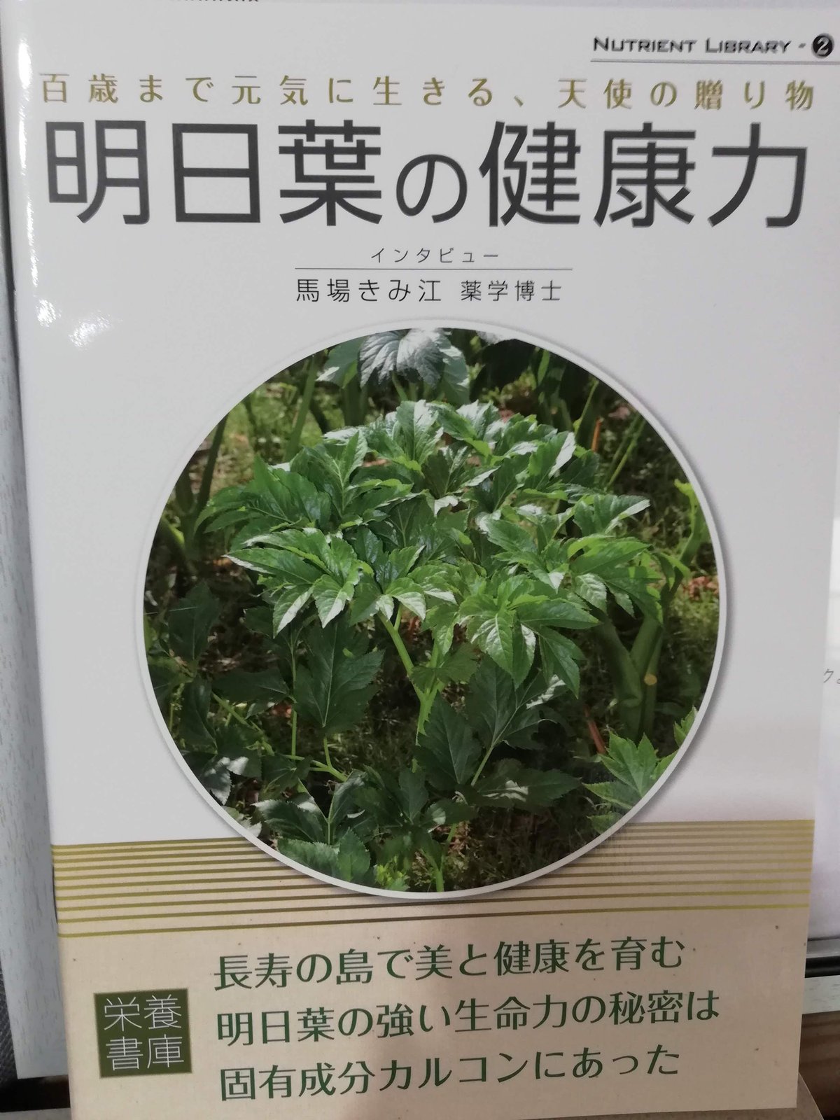 日本一の品質を自負するLeafの農薬・化学肥料不使用の明日葉パウダー100ｇ×3 日本一の品質を自負するLeafの農薬・化学肥料不使用の明日葉