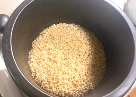 超希少！30年以上無農薬・無肥料「奇跡のササニシキ」R7年産 玄米2kg｜栃木県産・上野長一作｜まずはお試しに＊即日発送