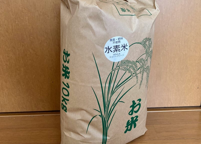 幻の「水素米」農薬・化学肥料不使用 R6年産 玄米10kg 群馬県産 即日発送！