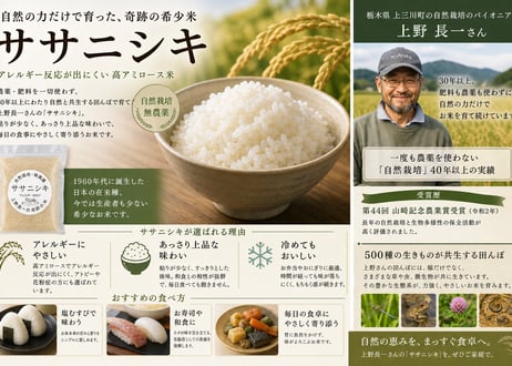 超希少！30年以上無農薬・無肥料「奇跡のササニシキ」R7年産 玄米2kg｜栃木県産・上野長一作｜まずはお試しに＊即日発送