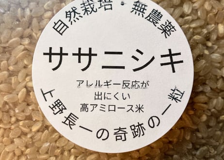 超希少！30年以上無農薬・無肥料「奇跡のササニシキ」R7年産 玄米2kg｜栃木県産・上野長一作｜まずはお試しに＊即日発送