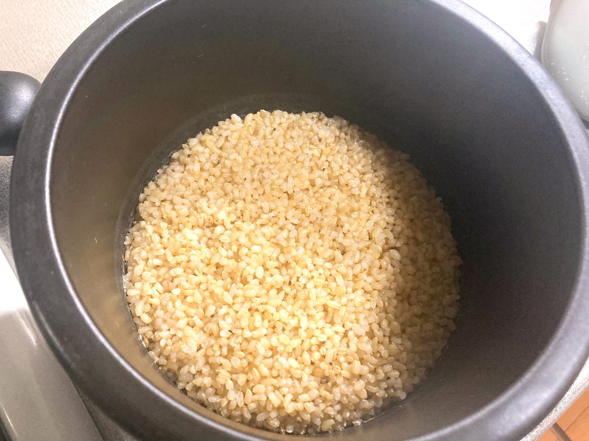 超希少米「水素米」農薬・化学肥料不使用 R6年産 玄米2kg 群馬県