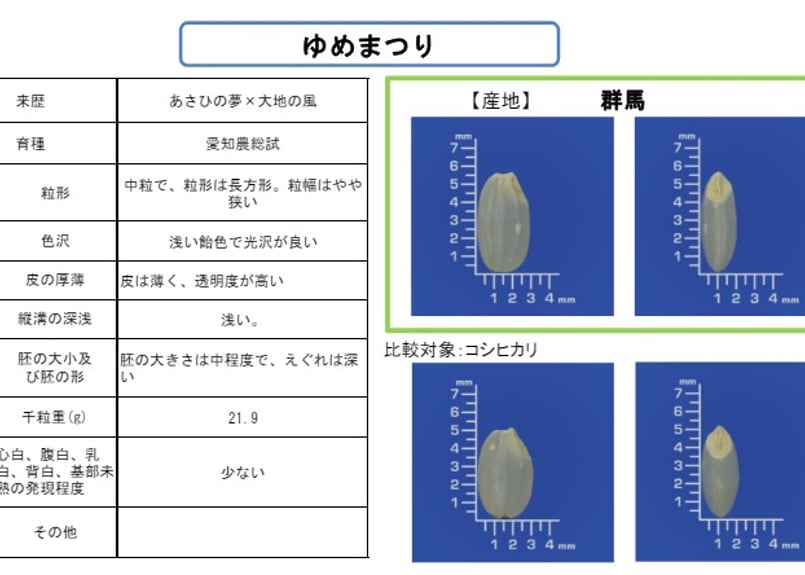 幻の米「水素米」R7年産 玄米2kg 群馬県産 農薬・化学肥料不使用【世界