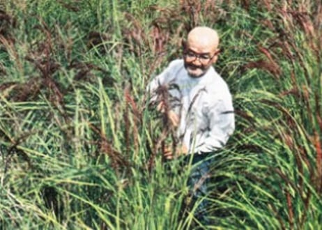 超希少！30年以上無農薬・無肥料「奇跡のササニシキ」R7年産 玄米2kg｜栃木県産・上野長一作｜まずはお試しに＊即日発送