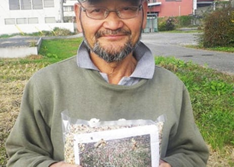 超希少！30年以上無農薬・無肥料「奇跡のササニシキ」R7年産 玄米2kg｜栃木県産・上野長一作｜まずはお試しに＊即日発送
