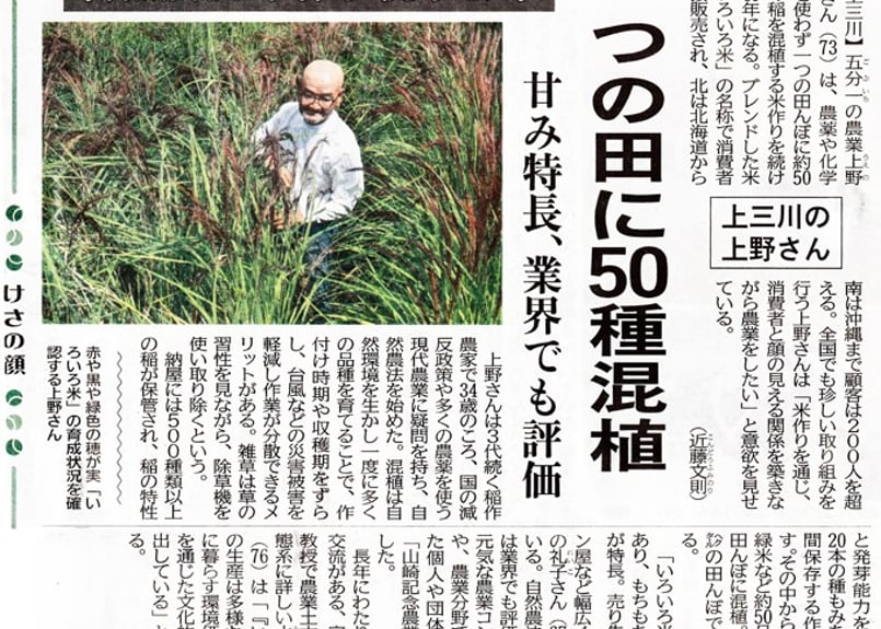 農文協　米づくり　稲作　関連書籍　18冊セット 51X0ucAaGnL.jpg