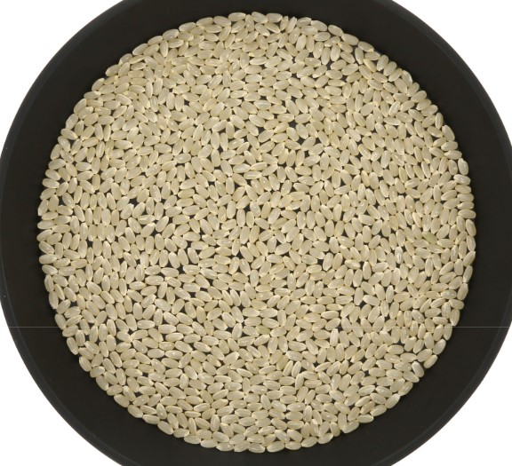 幻の「水素米」農薬・化学肥料不使用 R6年産 玄米10kg 群馬県産 即日発送！ 幻の「水素米」農薬・化学肥料不使用 R6年産 玄米10kg 群馬県産