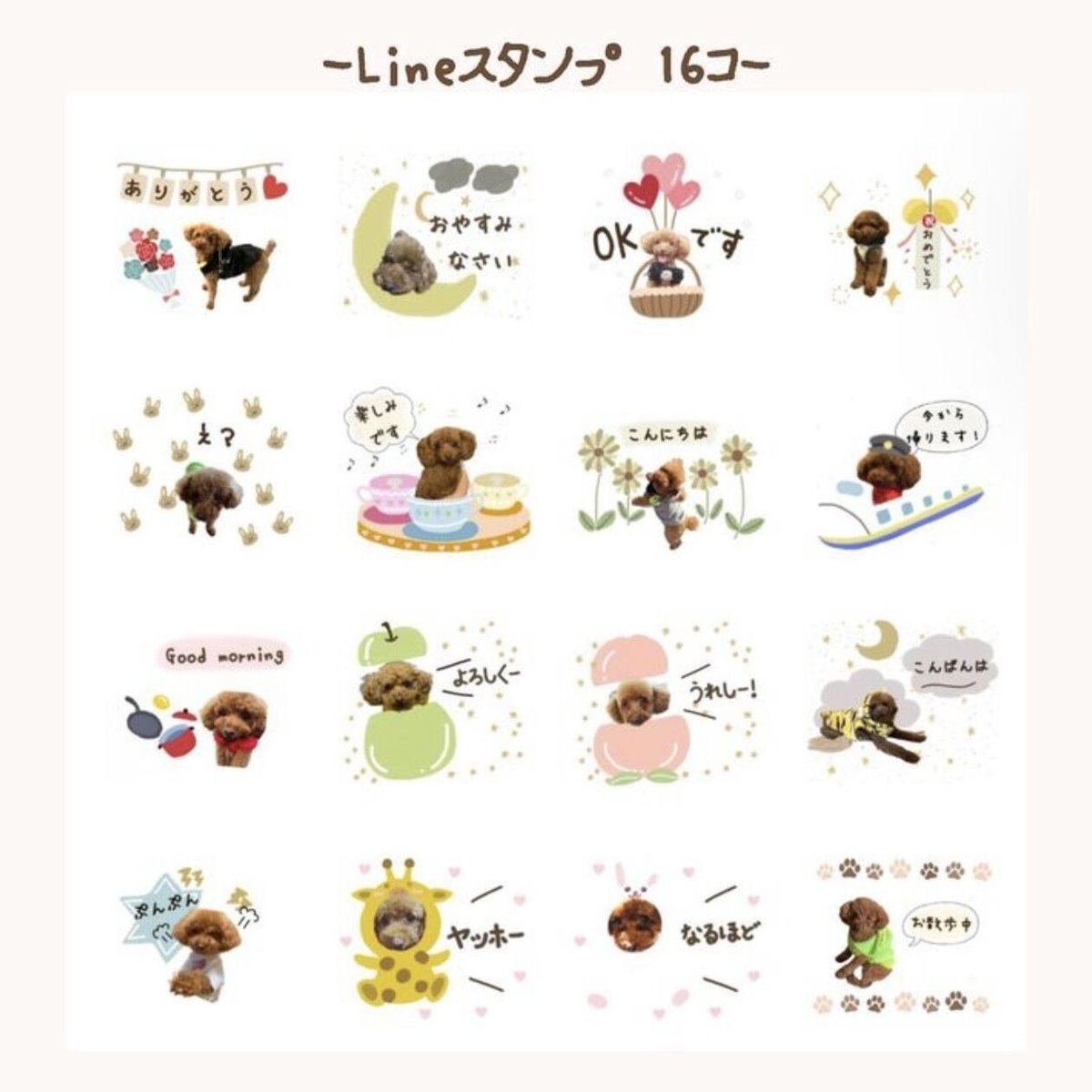 LINEスタンプ 16個 サンプル | chouchou & priere