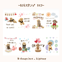 BIGスタンプ　32個　サンプル
