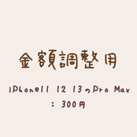 【金額調整用】300円