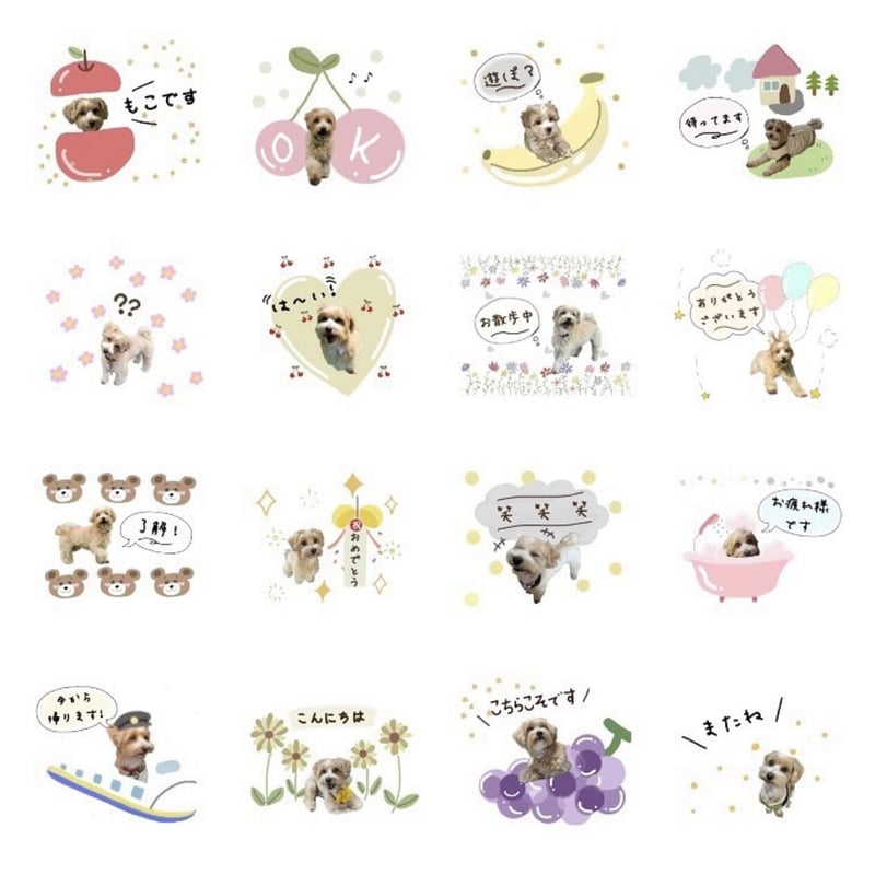 LINEスタンプ 40個 サンプル | chouchou & priere