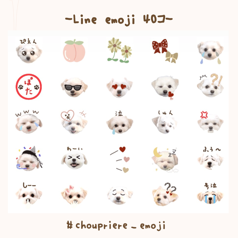 LINE絵文字 40個 サンプル | chouchou & priere