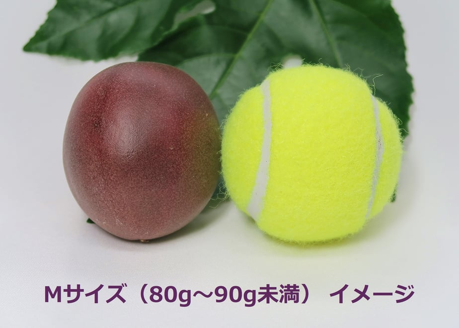 6694dd4e8fb59e32d386fcdd