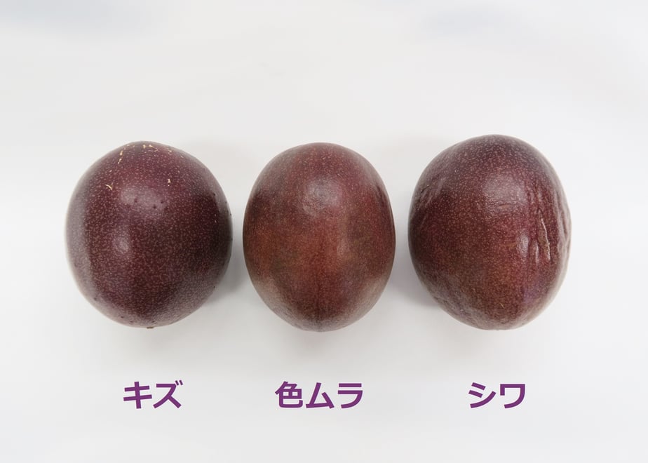 669dbb02b71e15002d2334ed