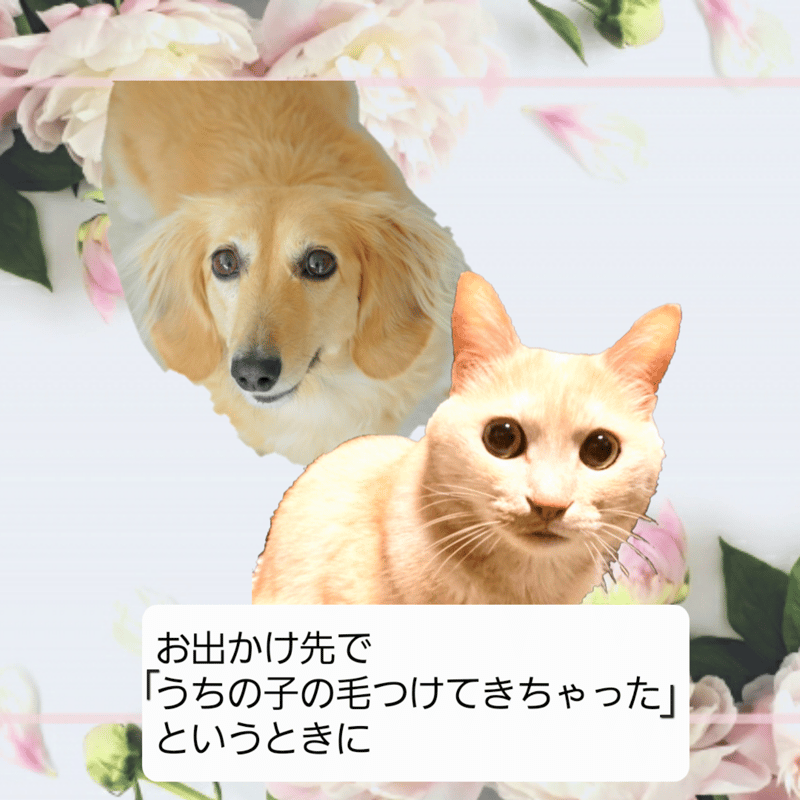 ふせん式ほこり取り3個セット【やまと撫子エチケットシート