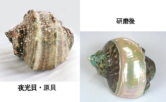 おさげ　夜光貝・白蝶貝のバレッタ 夜光貝 バレッタ – 海想