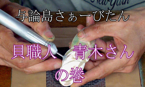 貝殻の装飾品 白色と薄紫色