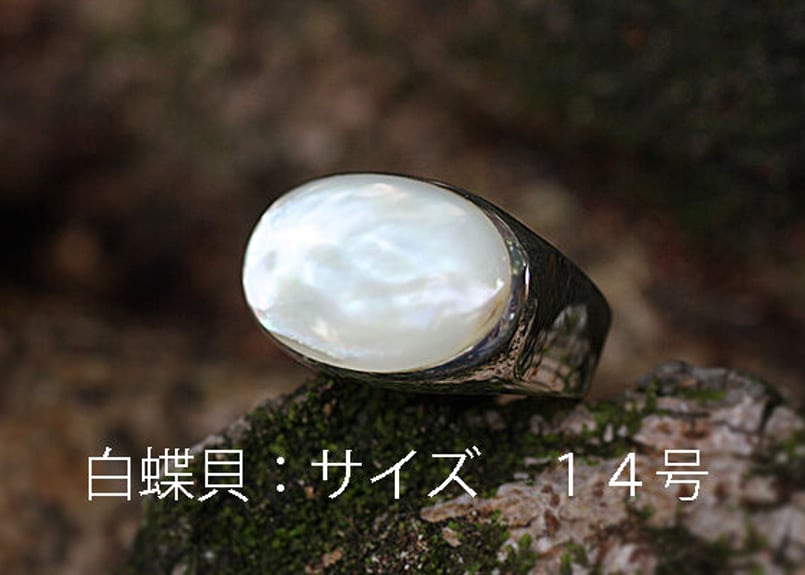 白蝶貝リング RS-12 | 貝工房 かざはな