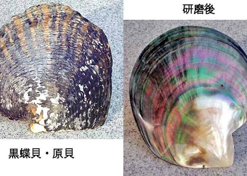 座敷童子ちゃん　お師匠様の黒蝶貝ネックレス 18金 箔蒔絵 黒蝶貝 ペンダント ネックレス 50cm 日本製 送料無料