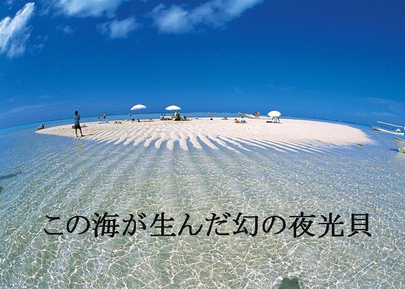 夜光貝ネックレス NN-18 | 貝工房 かざはな