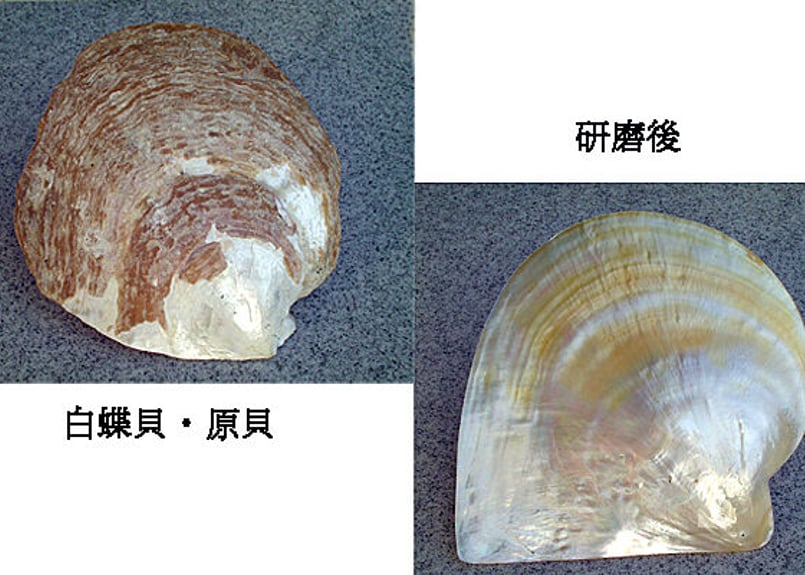 白蝶貝・トルコ石・ラピスのペンダントヘッド PTR-6 | 貝工房 かざはな