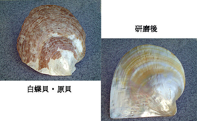 fit=scale-down,w=1200