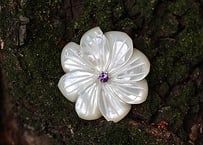 黒蝶貝ブローチ BN-5 | 貝工房 かざはな