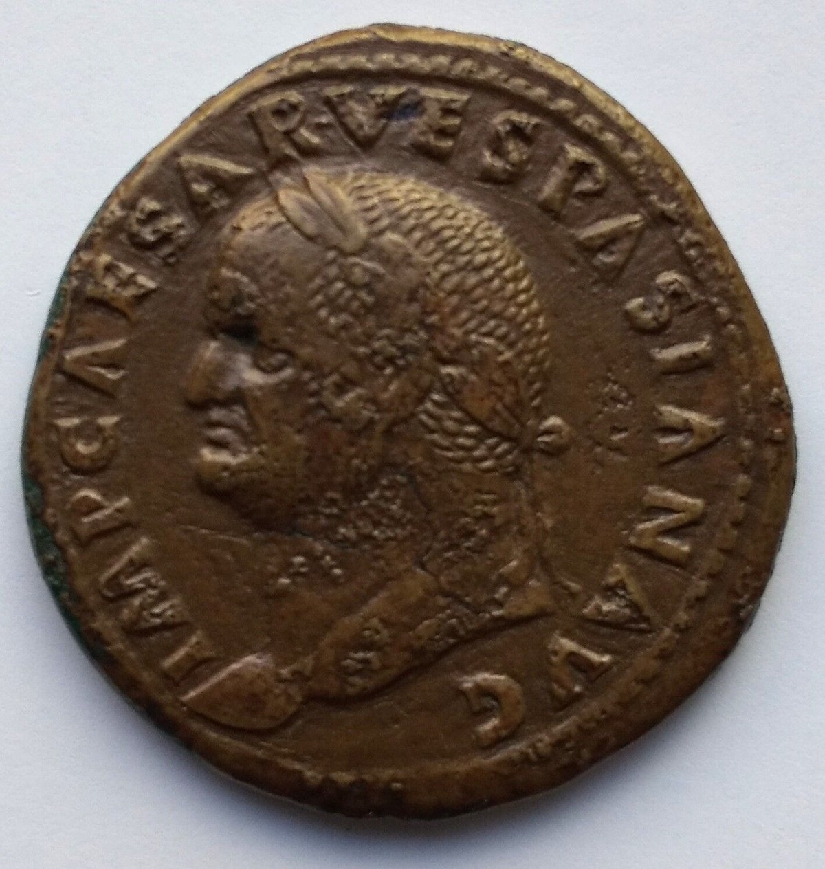 TKC032 ウェスパシアヌスの ウェスパシアヌス | GALLERIA DONATELLI