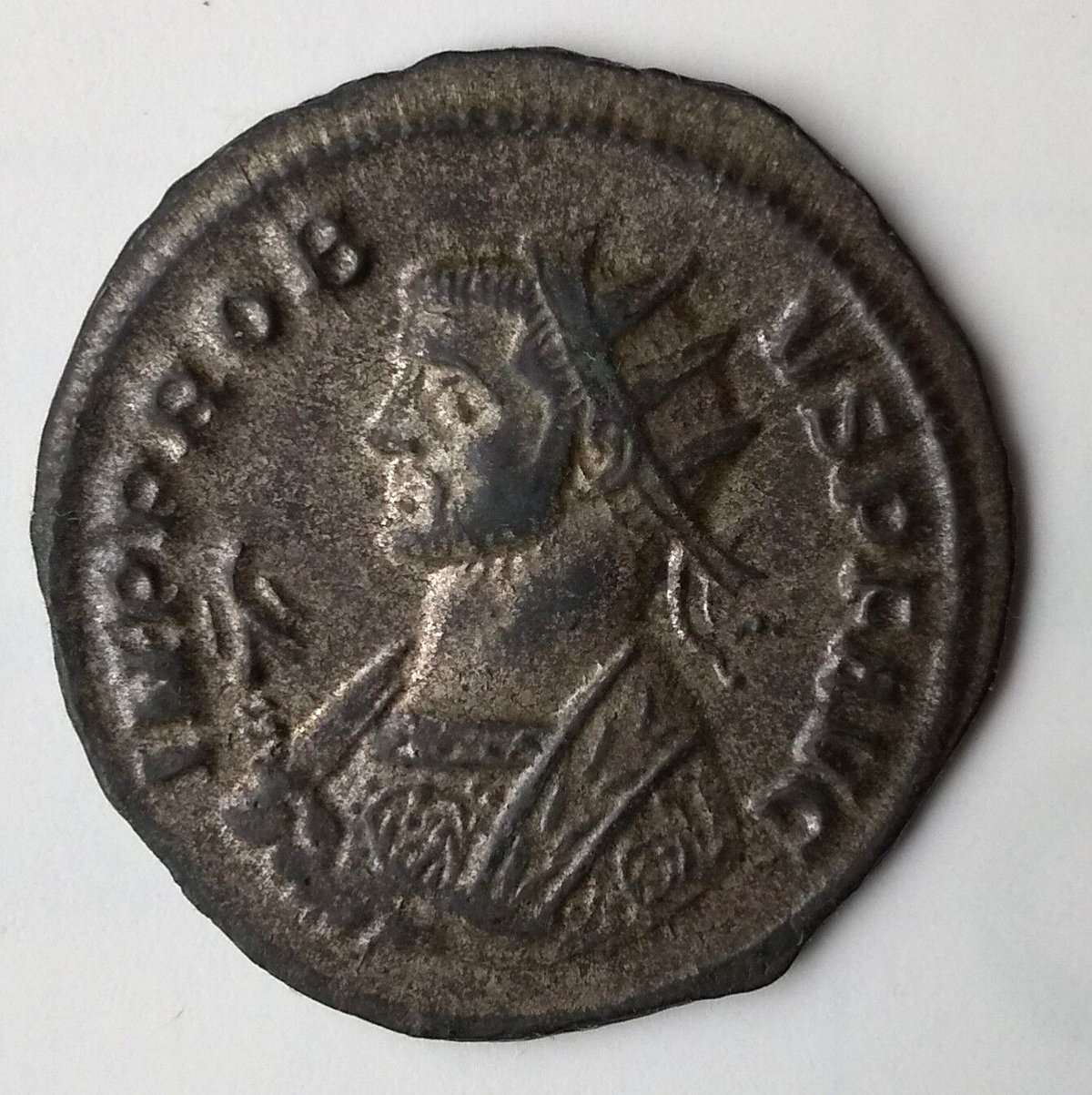 プロブス | GALLERIA DONATELLI