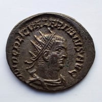 ユリアヌス | GALLERIA DONATELLI