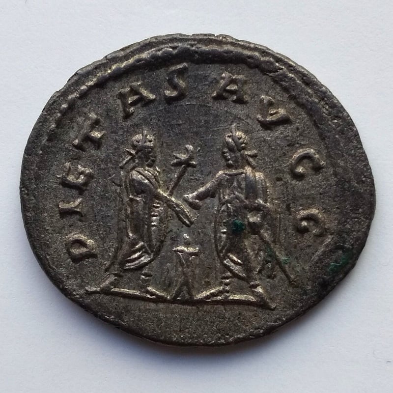 ウァレリアヌス1世 | GALLERIA DONATELLI