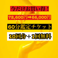 60分鑑定チケット11回分