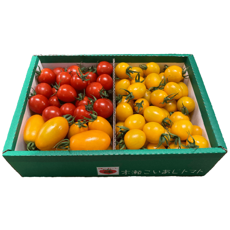 野菜園芸大百科　トマト 野菜園芸大百科 2 / 農山漁村文化協会【編】 - 紀伊國屋書店