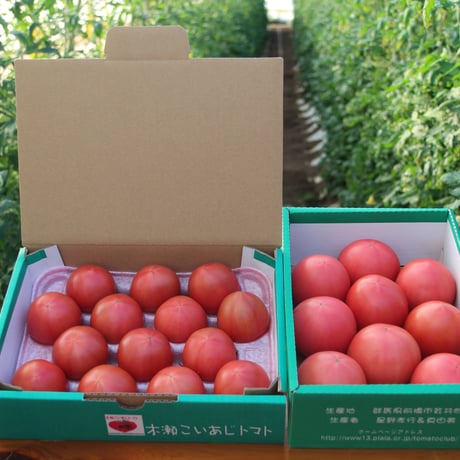 食べ比べセット｜ フルーツトマトと大玉トマト それぞれ1kg
