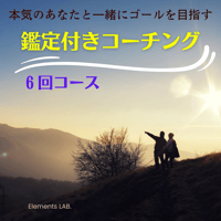 鑑定付きコーチング（6回コース）