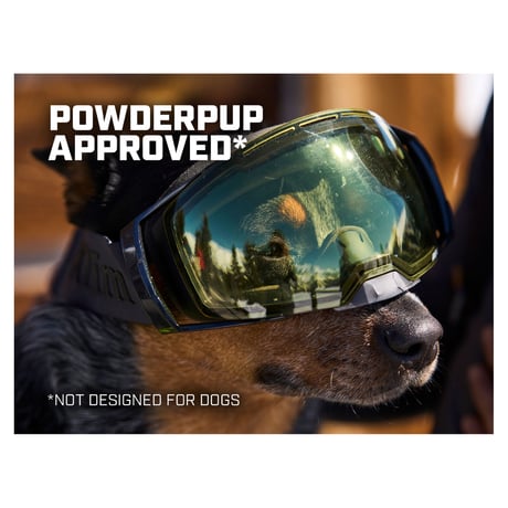AEON SNOW GOGGLE